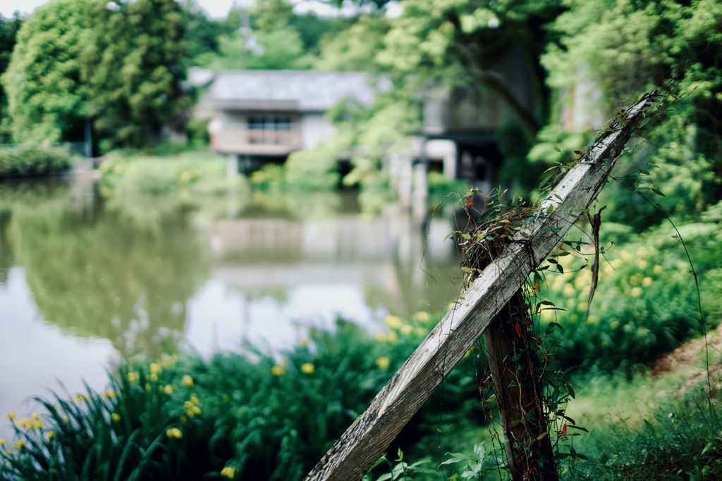 三輪の池