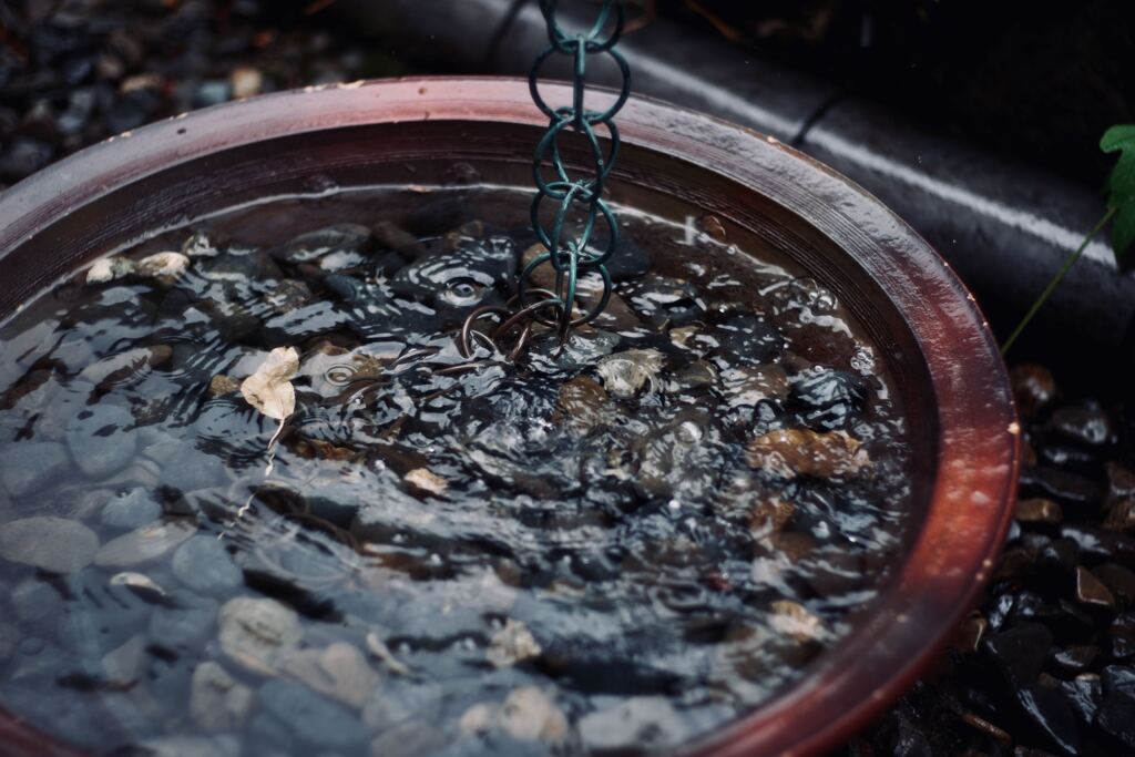 雨鉢　鎖樋