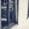 枯れかけの蔓
