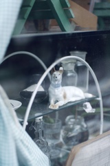 吾輩は犬である