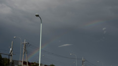 P1000648