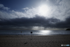 sydney_snap_36