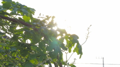 P1000156