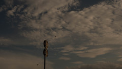 P1000432