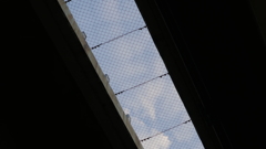 P1000239