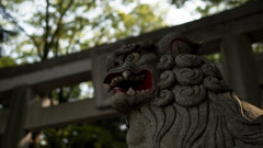 狛犬１