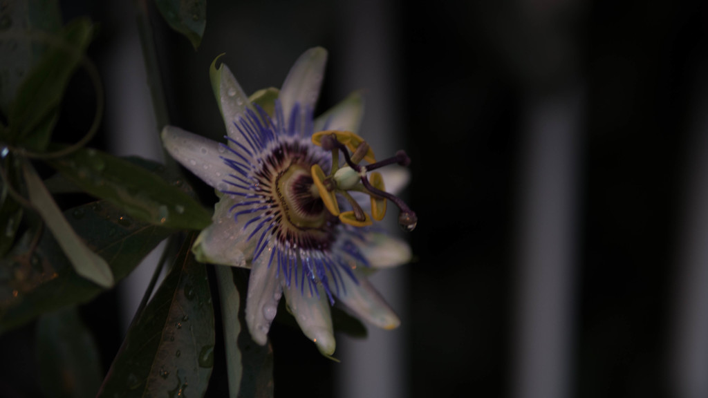 P1000473