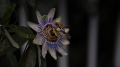 P1000473