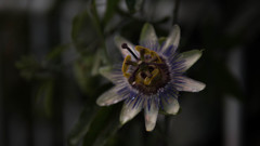 P1000471