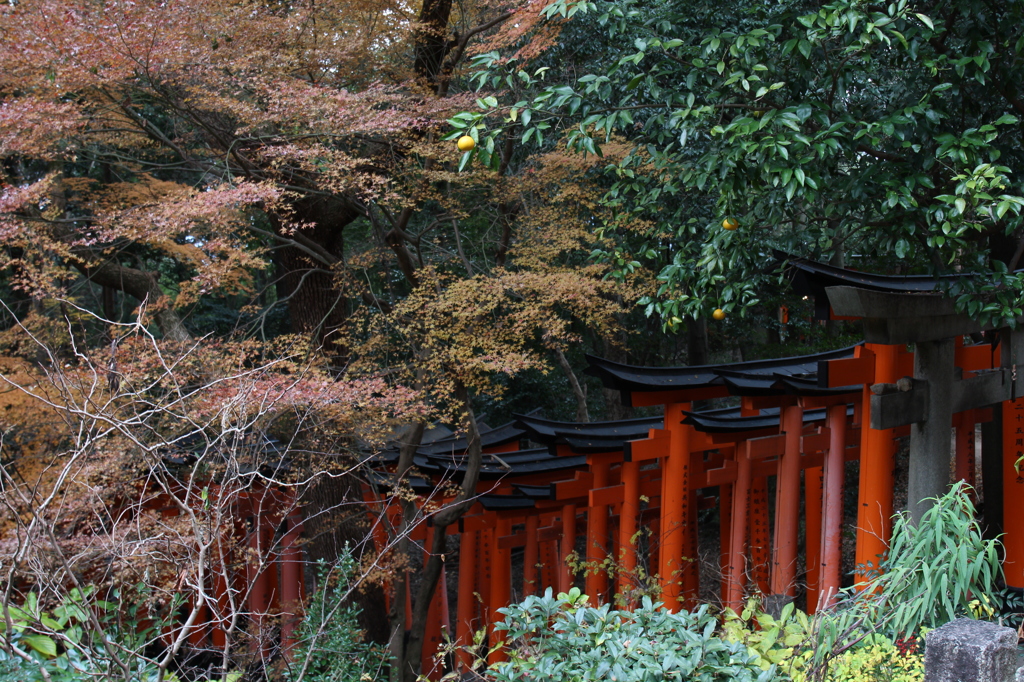京の色