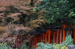 京の色