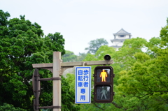 遠くに見えるは丸亀城