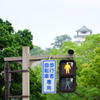 遠くに見えるは丸亀城