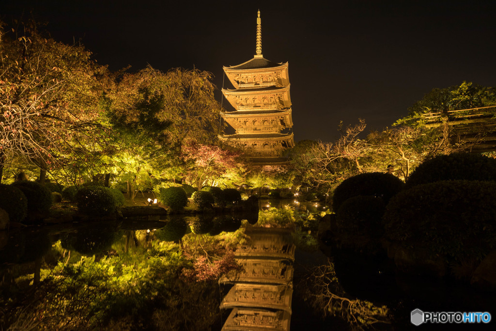 東寺ライトアップ１