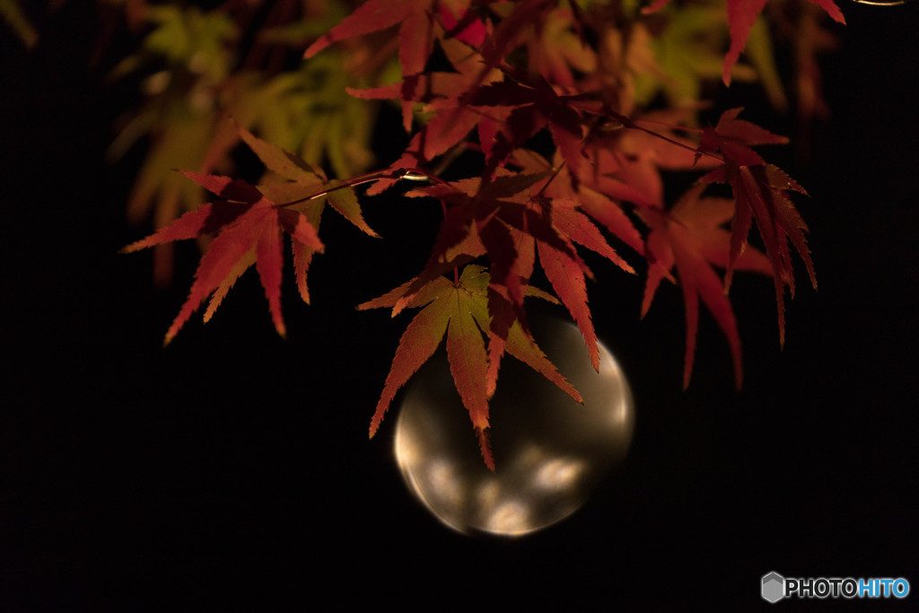 月夜？