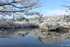 京の静寂２