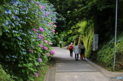 彩のある通り