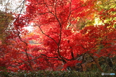長寿寺にて１