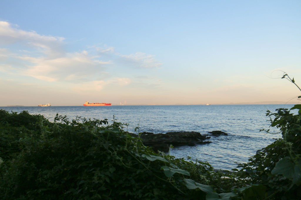 東京湾＠横須賀