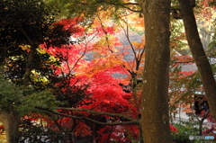 長寿寺にて３