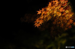 Little fire…１