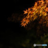 Little fire…１