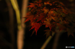 Little fire…２