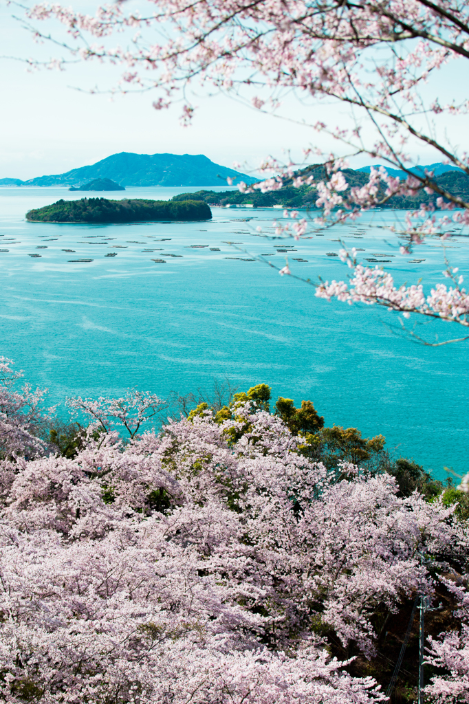 瀬戸内の海