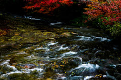 佛通寺の水面