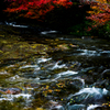 佛通寺の水面