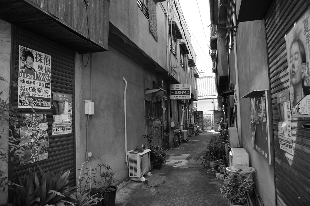街路
