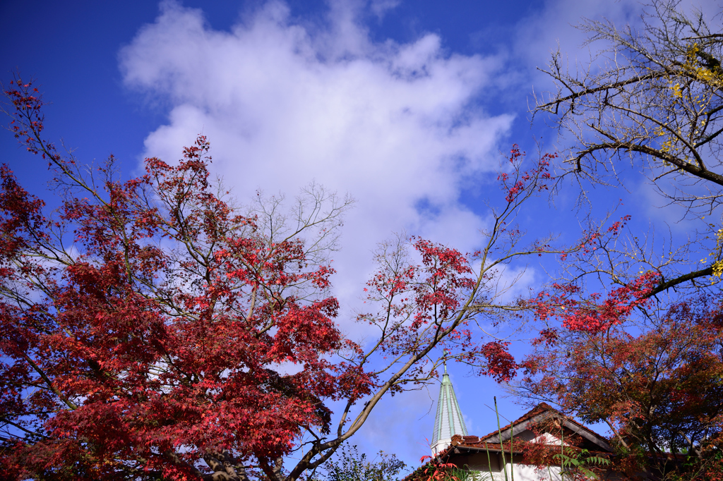 津和野の空