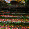 紅葉の石段