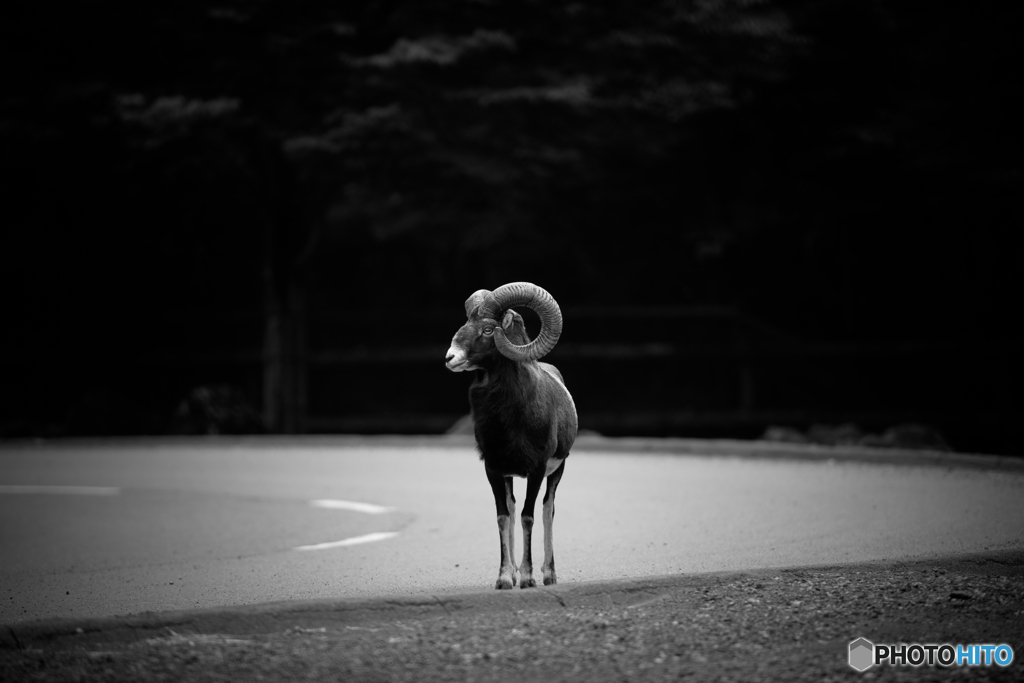 ブラインド コーナー