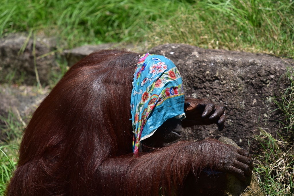 (4)さて、いきますか...