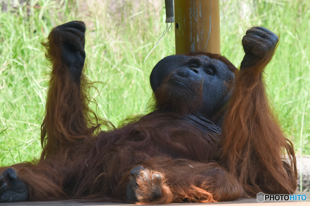 あれ？新聞がなくなった