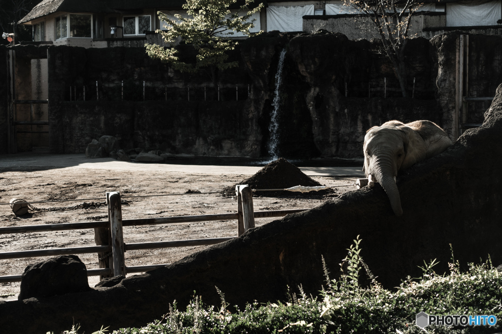 年の瀬のけだるさ