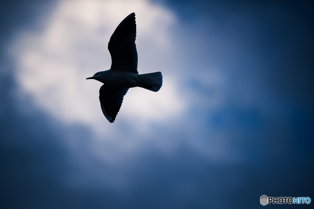 空
