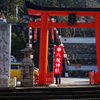 元日初詣-1