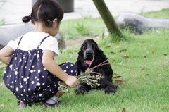 銀丸と公園で-2