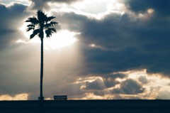 ベンチのある風景