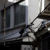 夜の街の昼の顔-5