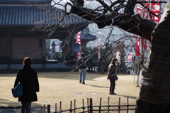 元日初詣-4