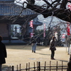 元日初詣-4