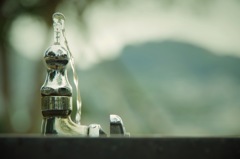 水飲み場