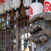元日初詣-3