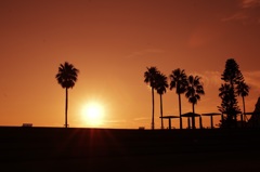 夕陽_2