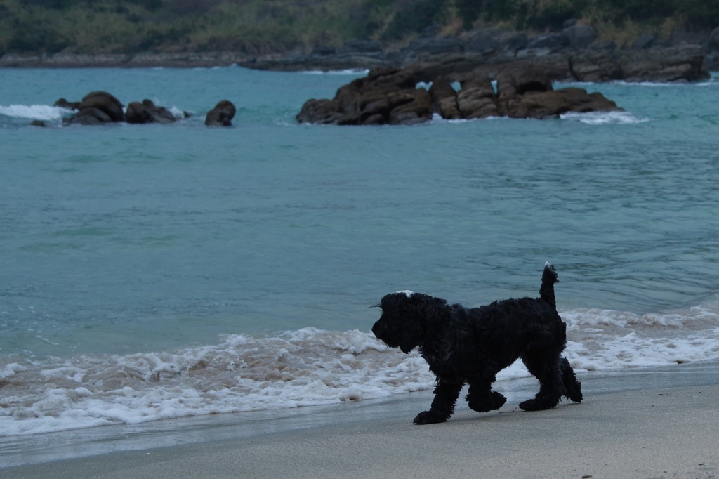 海辺で遊ぶ-1