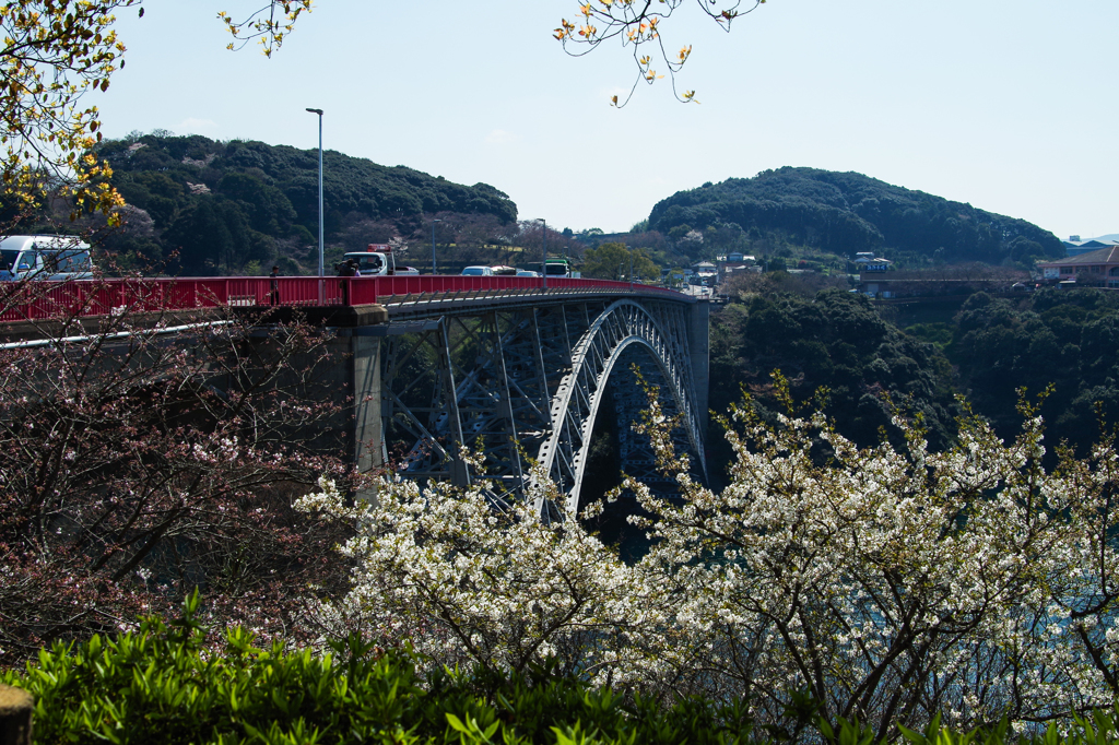 西海橋～桜-3