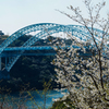 西海橋～桜-1